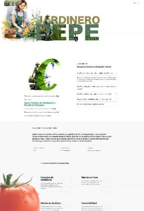 Diseño WordPress